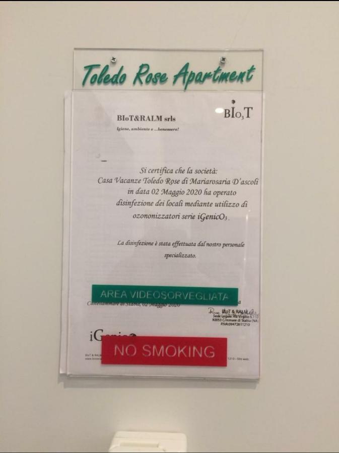 Toledo Rose Hotel Napoli Bagian luar foto